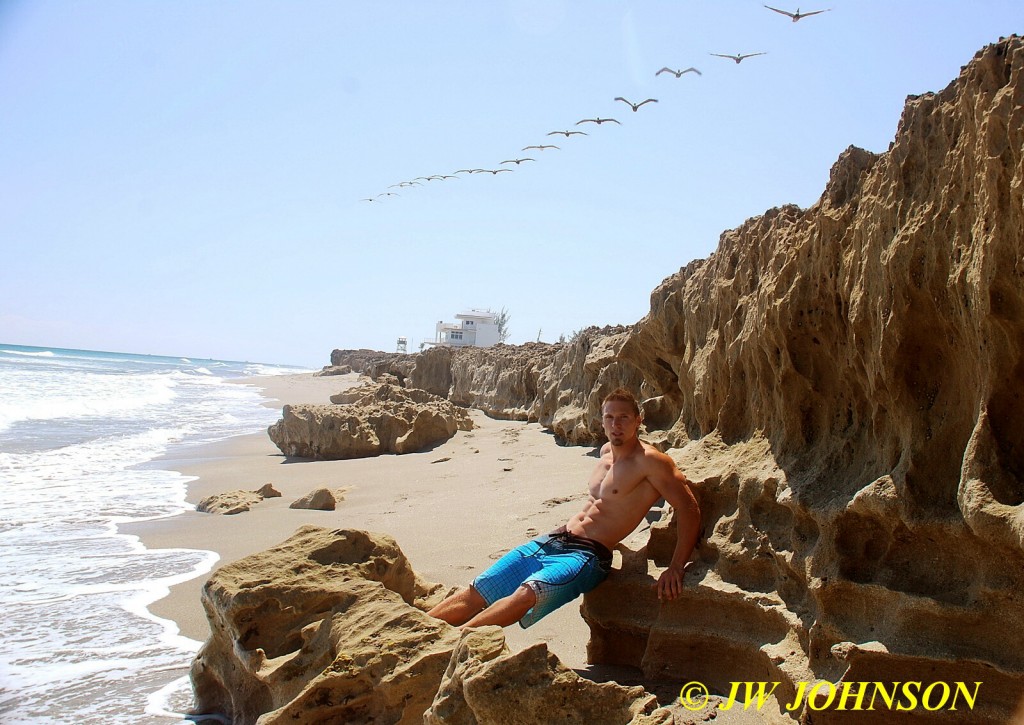 Birds of Flight Beach Boy 3