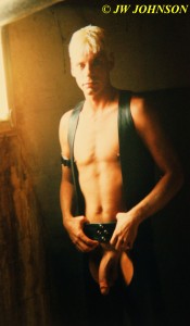 Hung Sunlit Stud