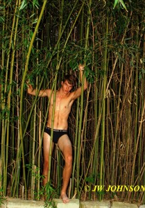 Bamboo Forest Hottie 9