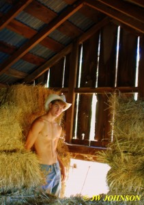 Haybarn Hottie