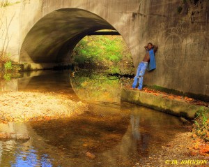 GG Reflections 4