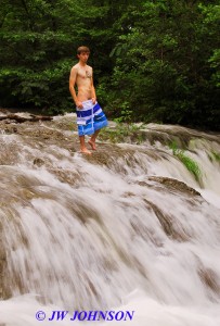 46 Board Shorts Waterfall