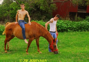 65 Horse Hotties