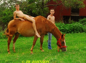 68 Horse Hotties