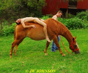 69 Horse Hotties