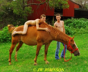 72 Horse Hotties