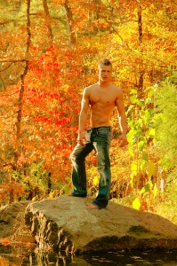 Fall Foliage rock
