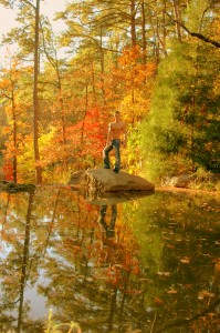 Fall reflection