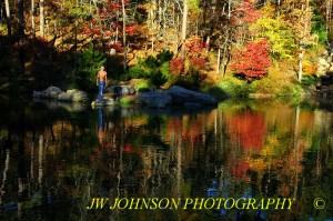 Garvan woodland pond WM