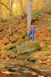 foliage and rocks stud