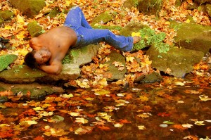 leaves and water art