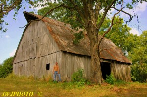 Barn boy