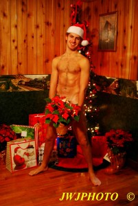 Christmas Poinsetta Boi