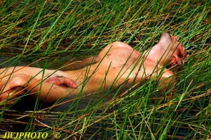 Lakeside grass art