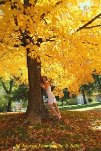 Under the Old Maple Tree