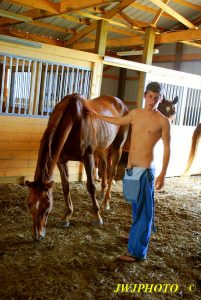 Barn Boy with Horses