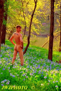 Bluebells Arty Boi