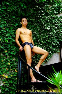 Stairway Speedos Stud